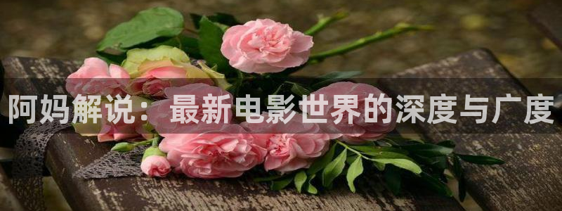 我想看西瓜视频