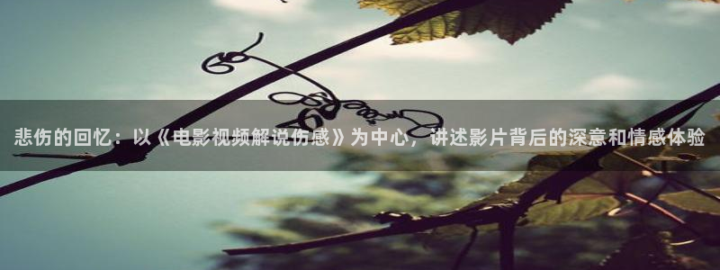 免费观看西瓜影院在线观看