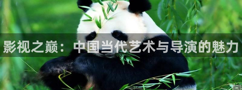 天天有喜电视剧免费观看西瓜影院