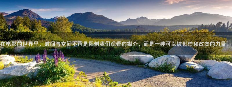 西瓜视频网页