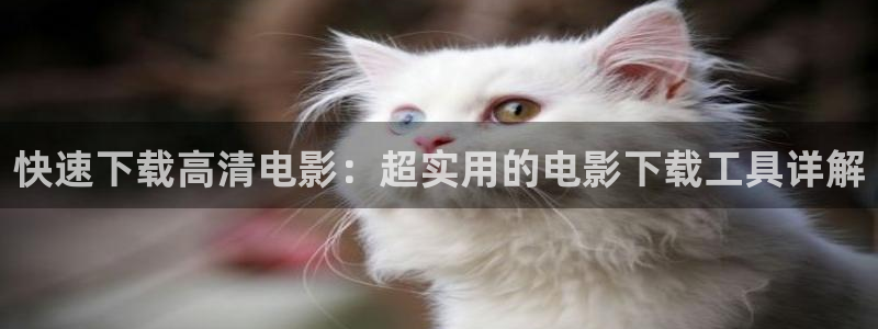 双旗镇刀客免费观看完整版西瓜