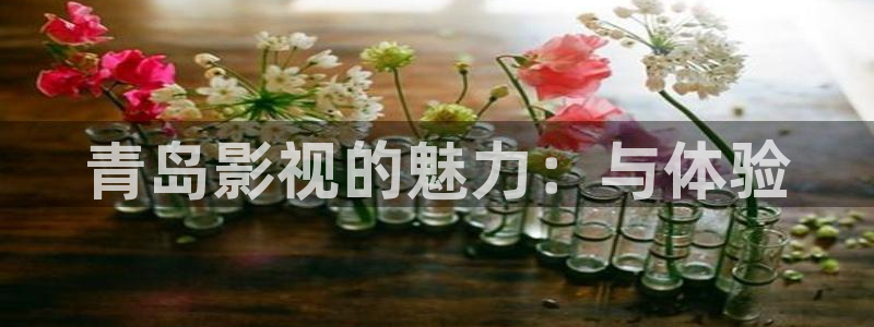 西瓜影院理论电影理论
