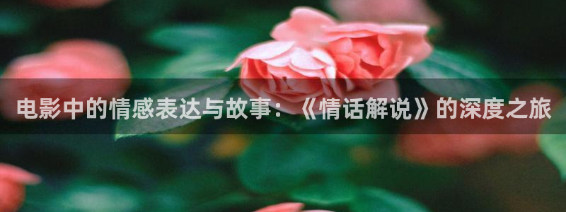 西瓜天狼影视在线免费观看