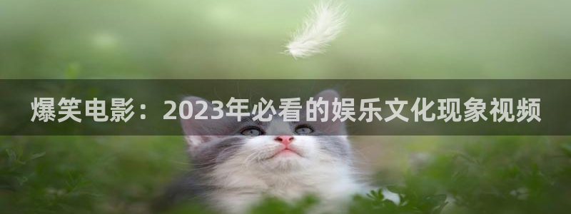 西瓜西瓜播放器
