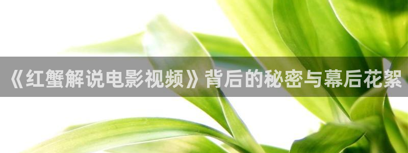 西瓜视频免费在线观看