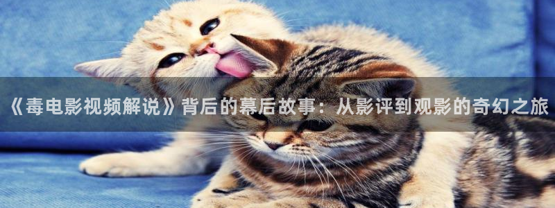 的西瓜