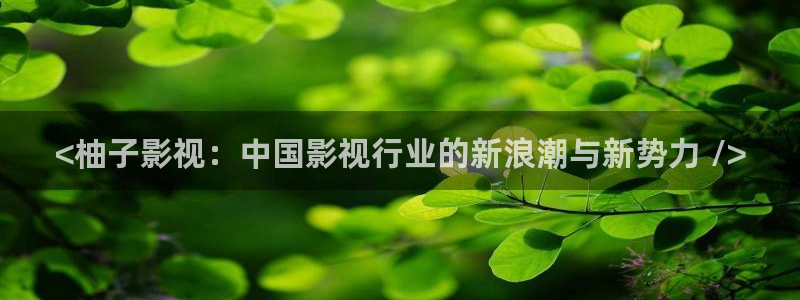 西瓜影院电影在线观看