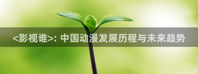 追球电视剧免费观看完整版西瓜