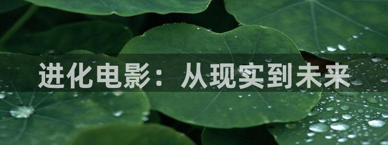 西瓜影视在线：进化电影：从现实到未来