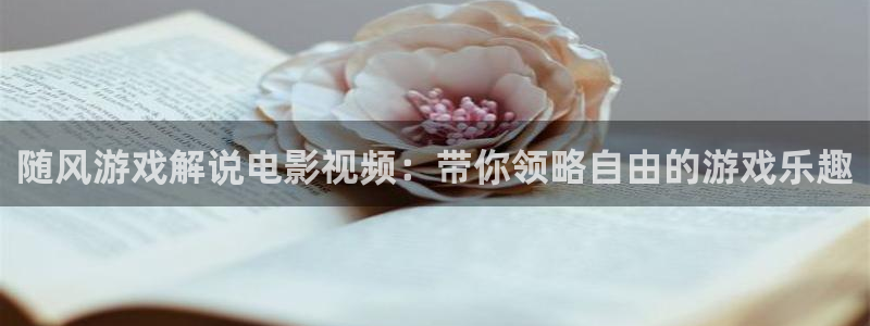 西瓜看球在线观看免费