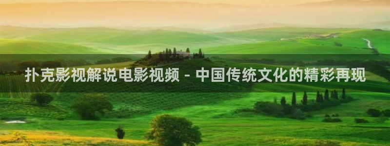 西瓜电影免费观看高清在线播放：扑克影视解说电影视频 - 中国传统文化的精彩再现