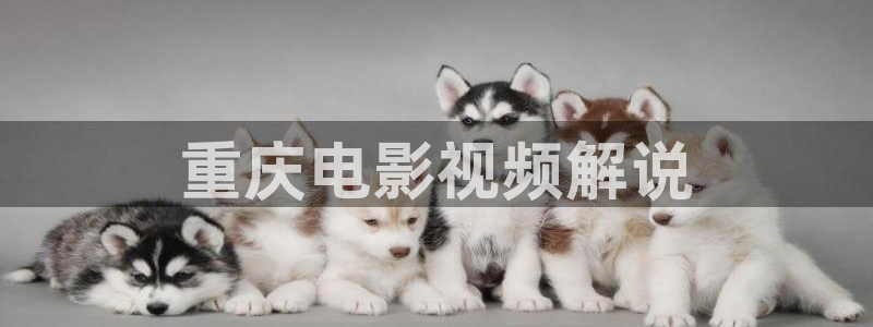 秘书电影西瓜：重庆电影视频解说