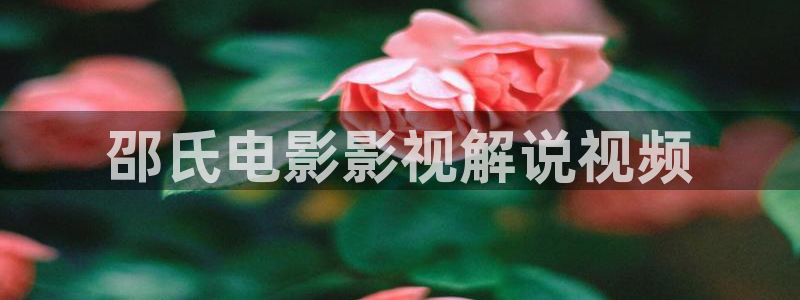 西瓜影院666：邵氏电影影视解说视频