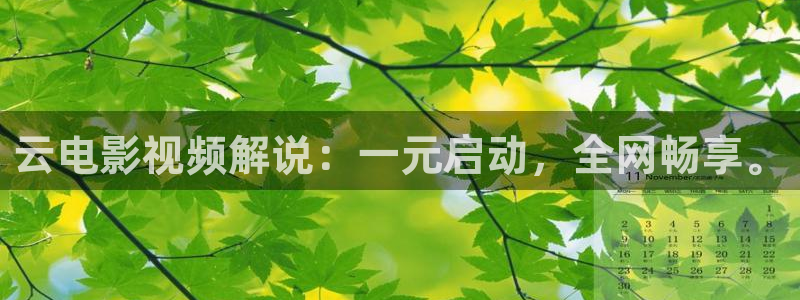 秘书电影西瓜：云电影视频解说：一元启动，全网畅享。