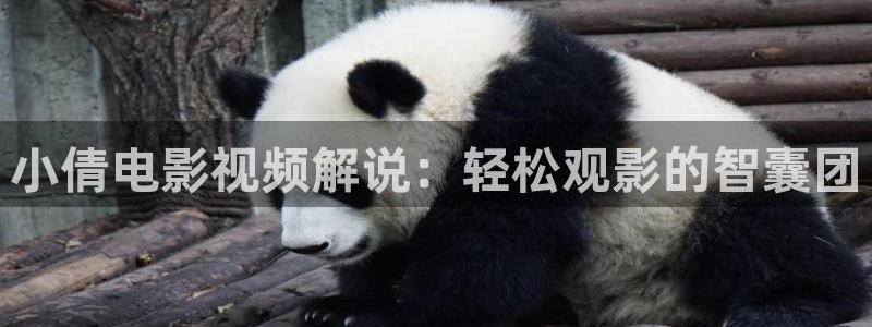 都挺好免费观看全集西瓜