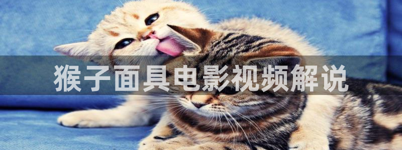 温州西瓜：猴子面具电影视频解说