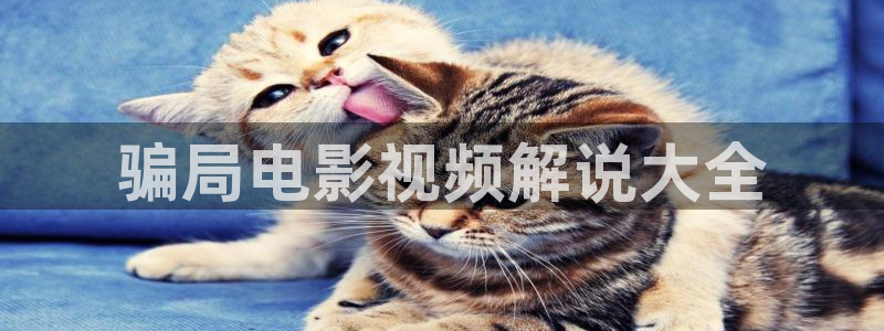 致我们单纯的小美好免费观看西瓜：骗局电影视频解说大全