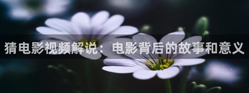 少年派二免费观看西瓜影院：猜电影视频解说：电影背后的故事和意义