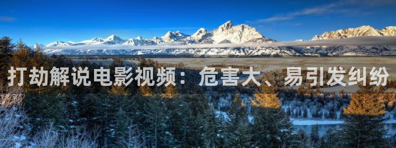 西瓜影院 伦理片：打劫解说电影视频：危害大、易引发纠纷