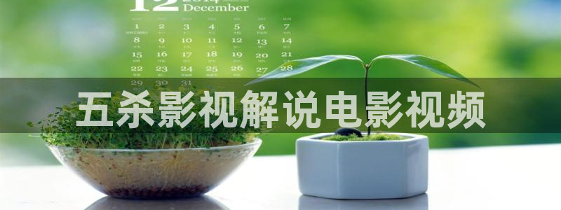 色西瓜影院：五杀影视解说电影视频