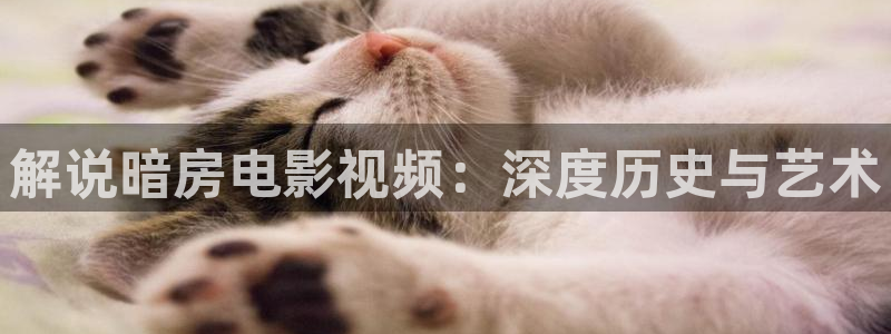 西瓜影视网免费观看：解说暗房电影视频：深度历史与艺术
