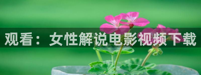 西瓜影院 理论片：观看：女性解说电影视频下载