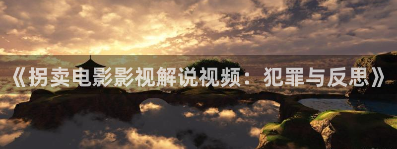 西瓜视影院：《拐卖电影影视解说视频：犯罪与反思》