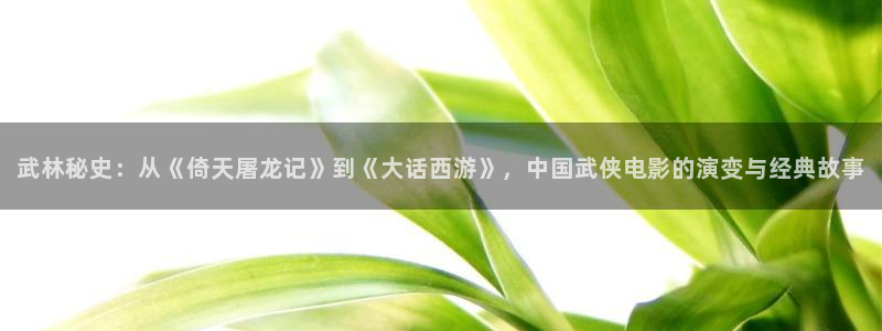 西瓜影院在线观看电视剧全集免费