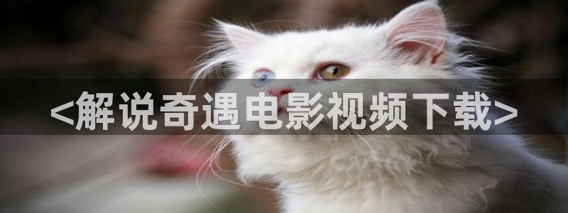 半是蜜糖半是伤免费观看西瓜影院