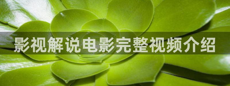 最新电影在线看西瓜