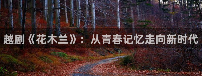西瓜直播