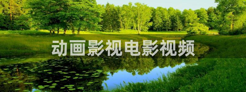 西瓜视频网