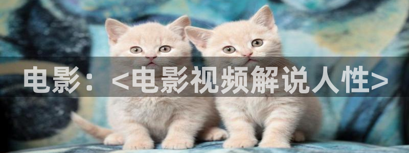 西瓜免费视频