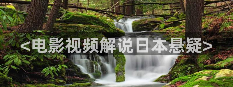 西瓜视步