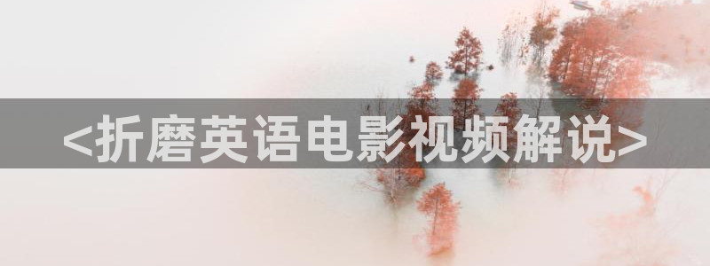 爱情不打烊电视剧西瓜免费观看