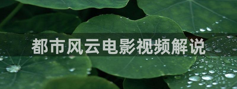 沉香如屑电视剧全集免费西瓜影院
