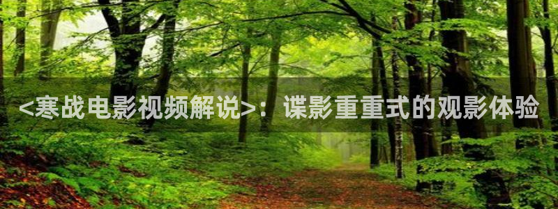大西瓜电影：<寒战电影视频解说>：谍影重重式的观影体验