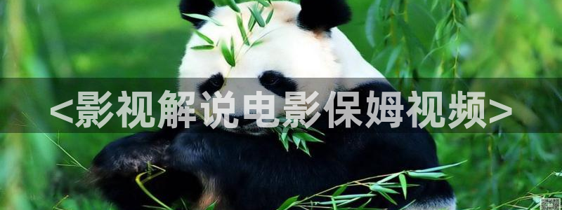 飘雪电影电视剧西瓜：<影视解说电影保姆视频>