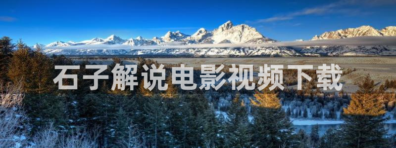 守护甜心免费观看西瓜：石子解说电影视频下载
