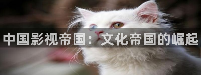 天狼影院西瓜影院：中国影视帝国：文化帝国的崛起