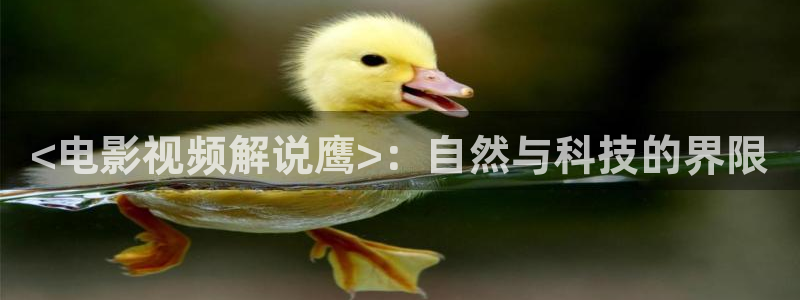 广东省西瓜：<电影视频解说鹰>：自然与科技的界限