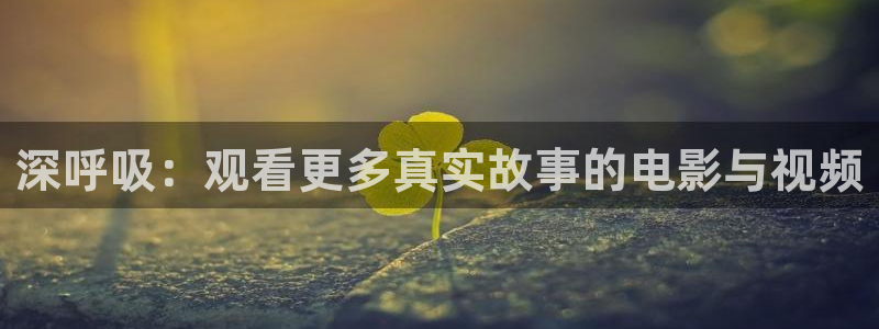 西瓜动漫在线观看完整免费：深呼吸：观看更多真实故事的电影与视频