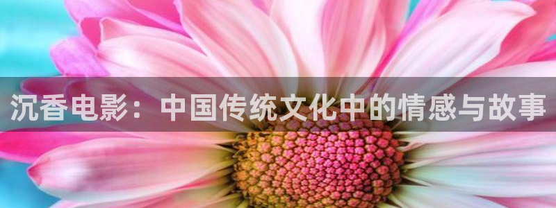 亲爱的妈妈5西瓜影院