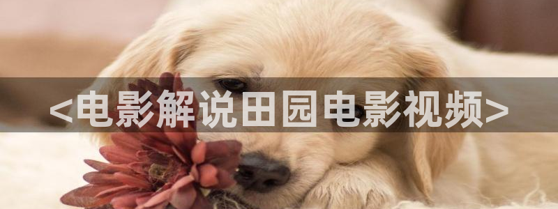 哈密瓜西瓜
