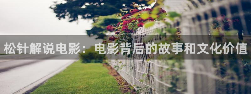 西瓜影院日韩：松针解说电影：电影背后的故事和文化价值