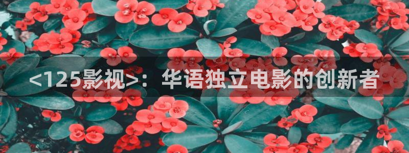 飘雪电影西瓜：<125影视>：华语独立电影的创新者
