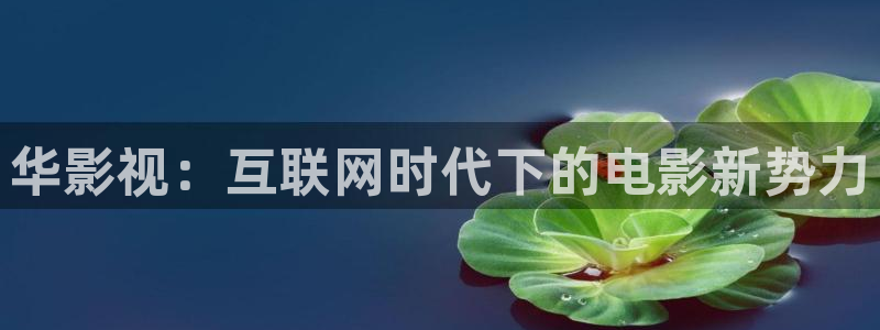西瓜影院官网：华影视：互联网时代下的电影新势力