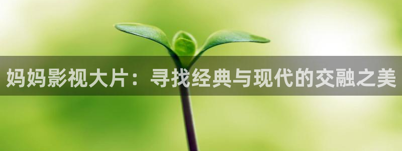 飘雪影视在线观看西瓜高清：妈妈影视大片：寻找经典与现代的交融之美