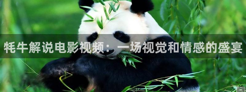 我要看西瓜视频：牦牛解说电影视频：一场视觉和情感的盛宴