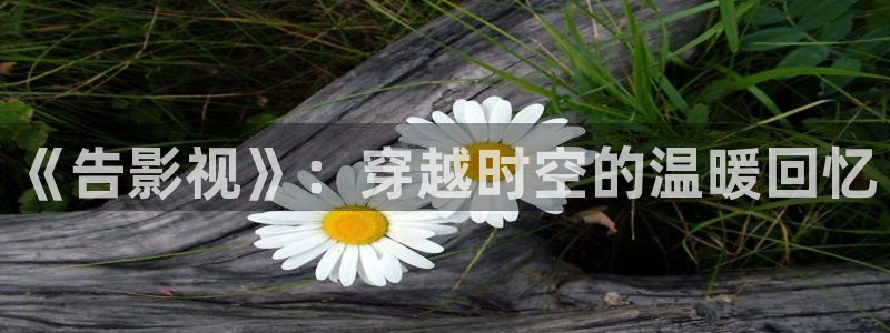 知否西瓜影院免费观看：《告影视》：穿越时空的温暖回忆
